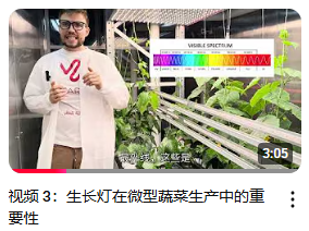 Microgreens introduction course — Chinese version