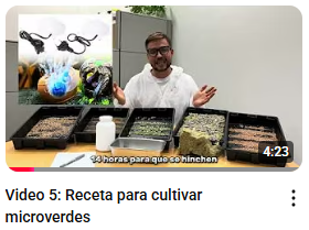 Microgreens introduction course — Spanish version