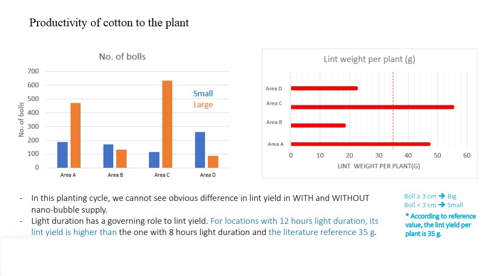Vertical cotton farming R&D trial