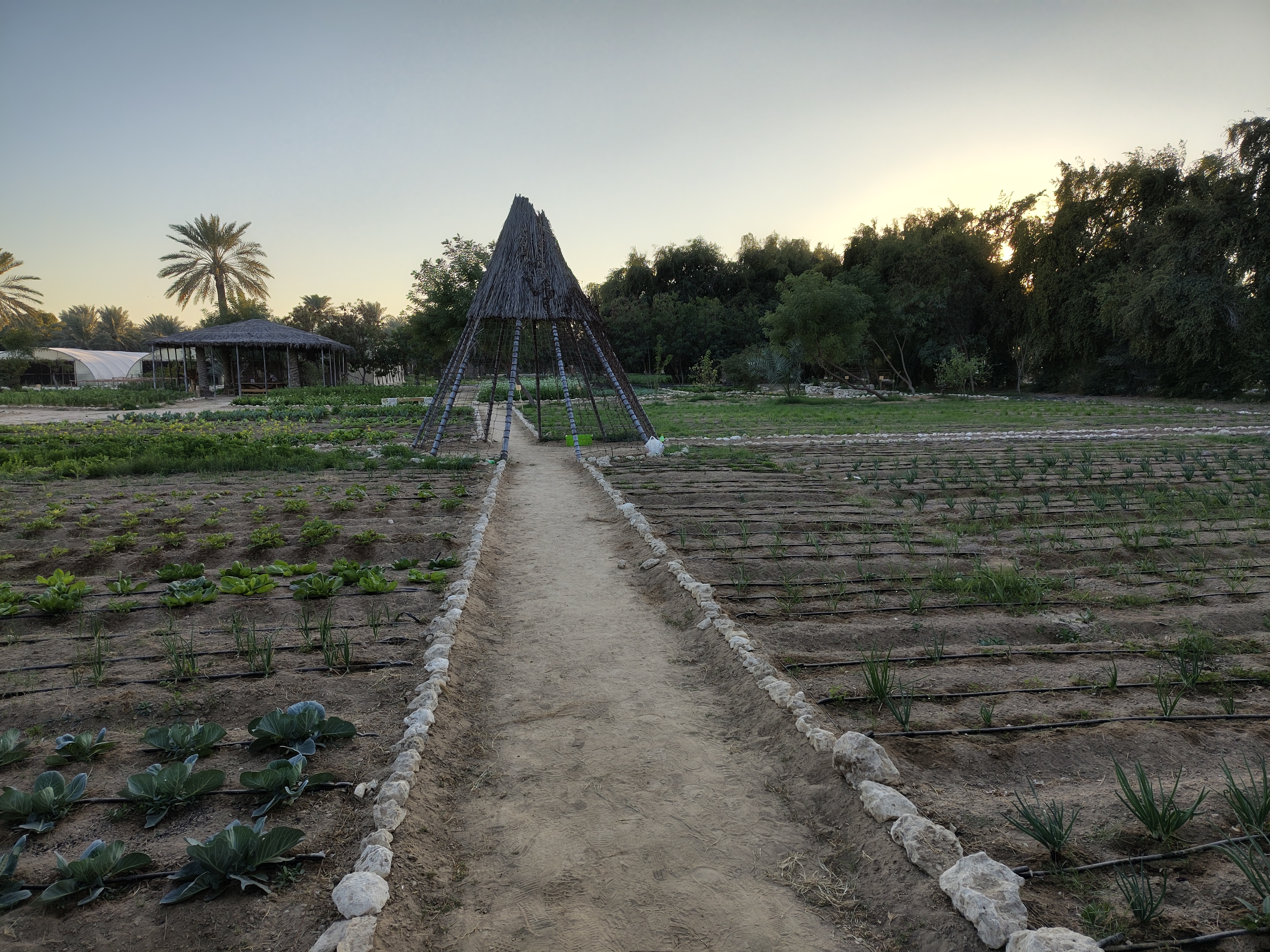 Irrigation emitters