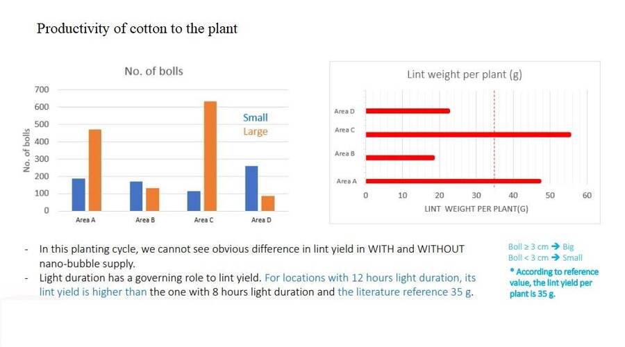 Vertical cotton farming R&D trial
