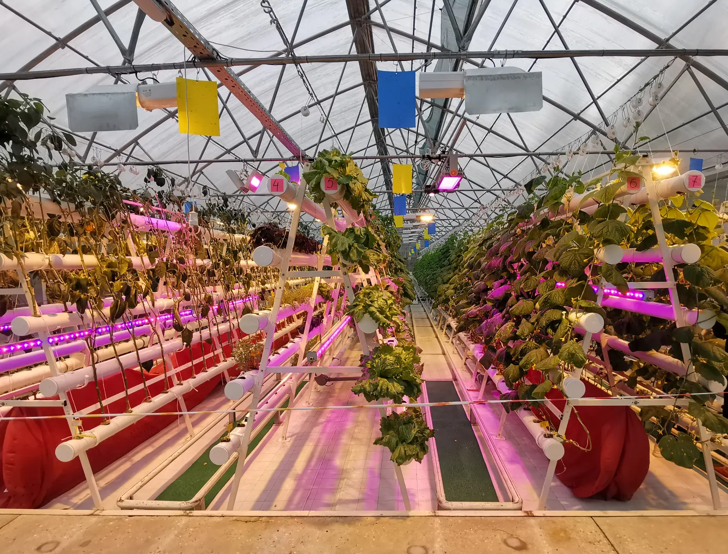 Structure and deliver a controlled-environment agriculture project.